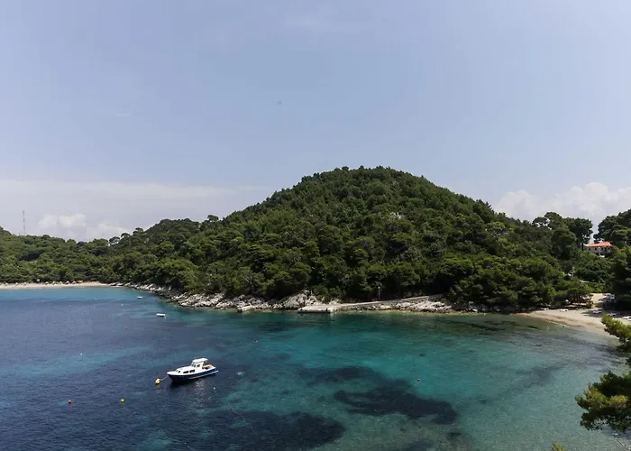 Posta - Comfort One-bedroom With Terrace And Sea View - 6 Apartment Saplunara