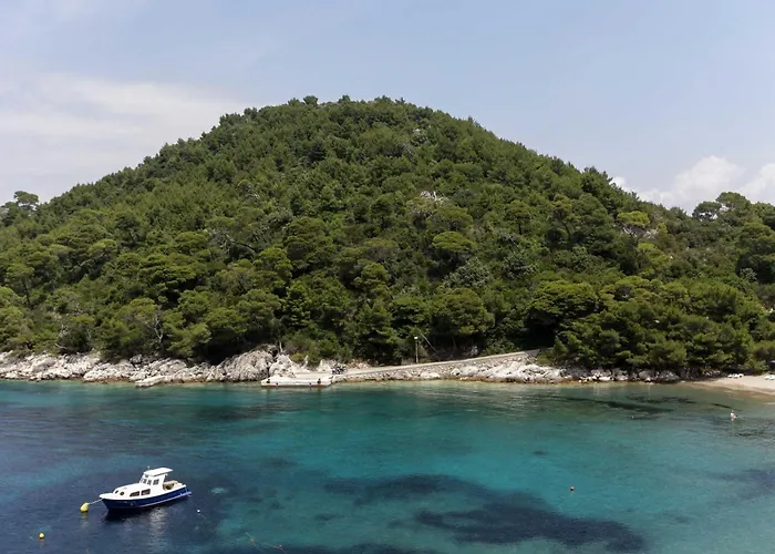 Posta - Comfort One-bedroom With Terrace And Sea View - 6